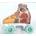 Funda cubre patin Tadeo Jones - Imagen 2